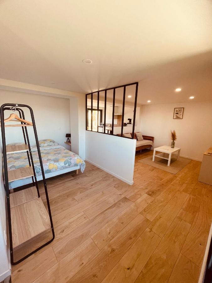 T1 Bis Renove Au Centre D'Auch Apartment Luaran gambar